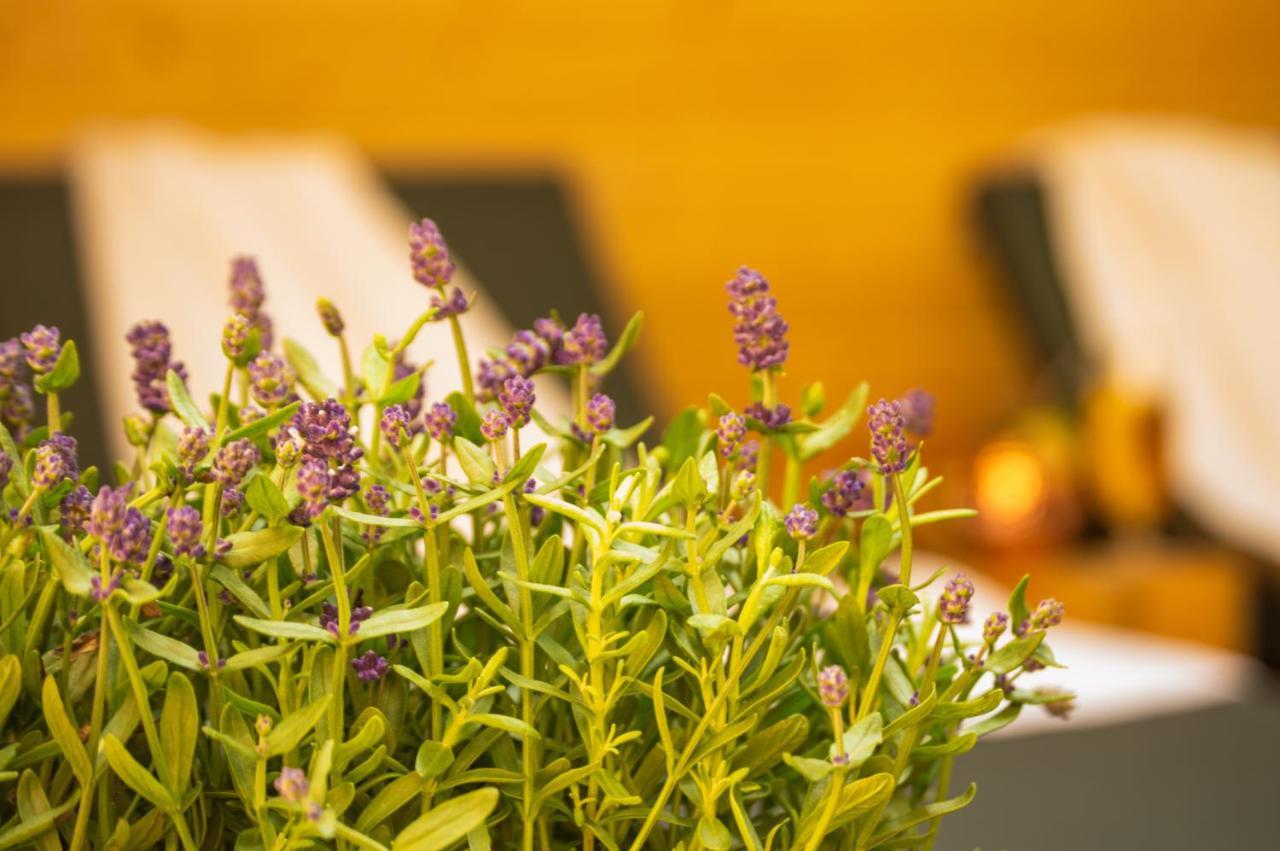 Wellnessoase Mitten In Triberg Triberg im Schwarzwald Eksteriør billede